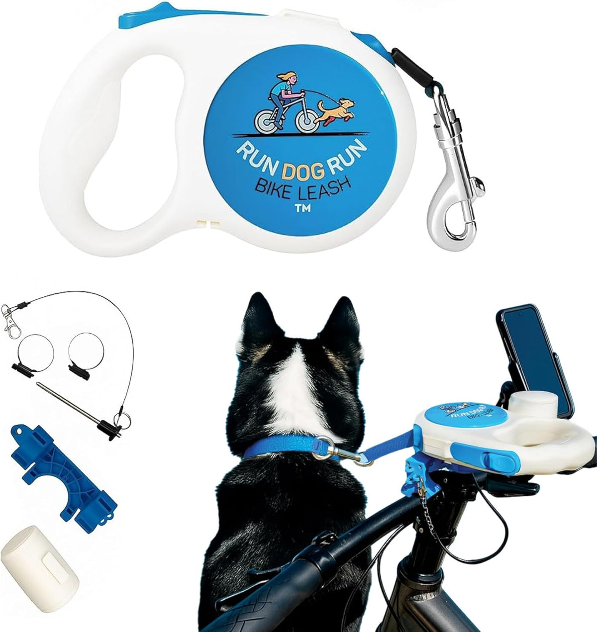 Dog bike leash setup used for training a dog beside a bicycle