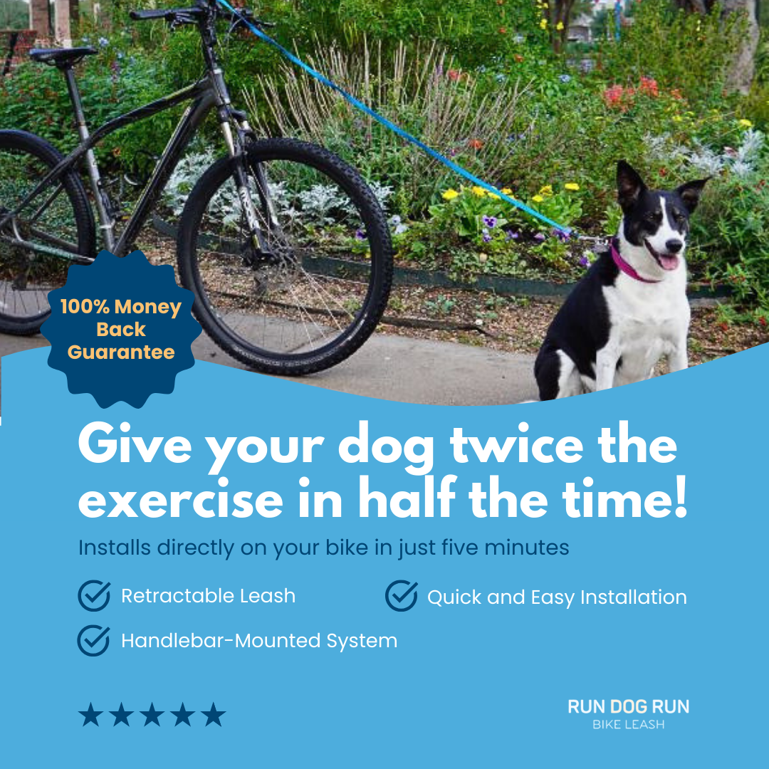Run Dog Run Bike Leash Revolutionizes Pet Exercise with Patent-Pending System for Safe Dog Biking