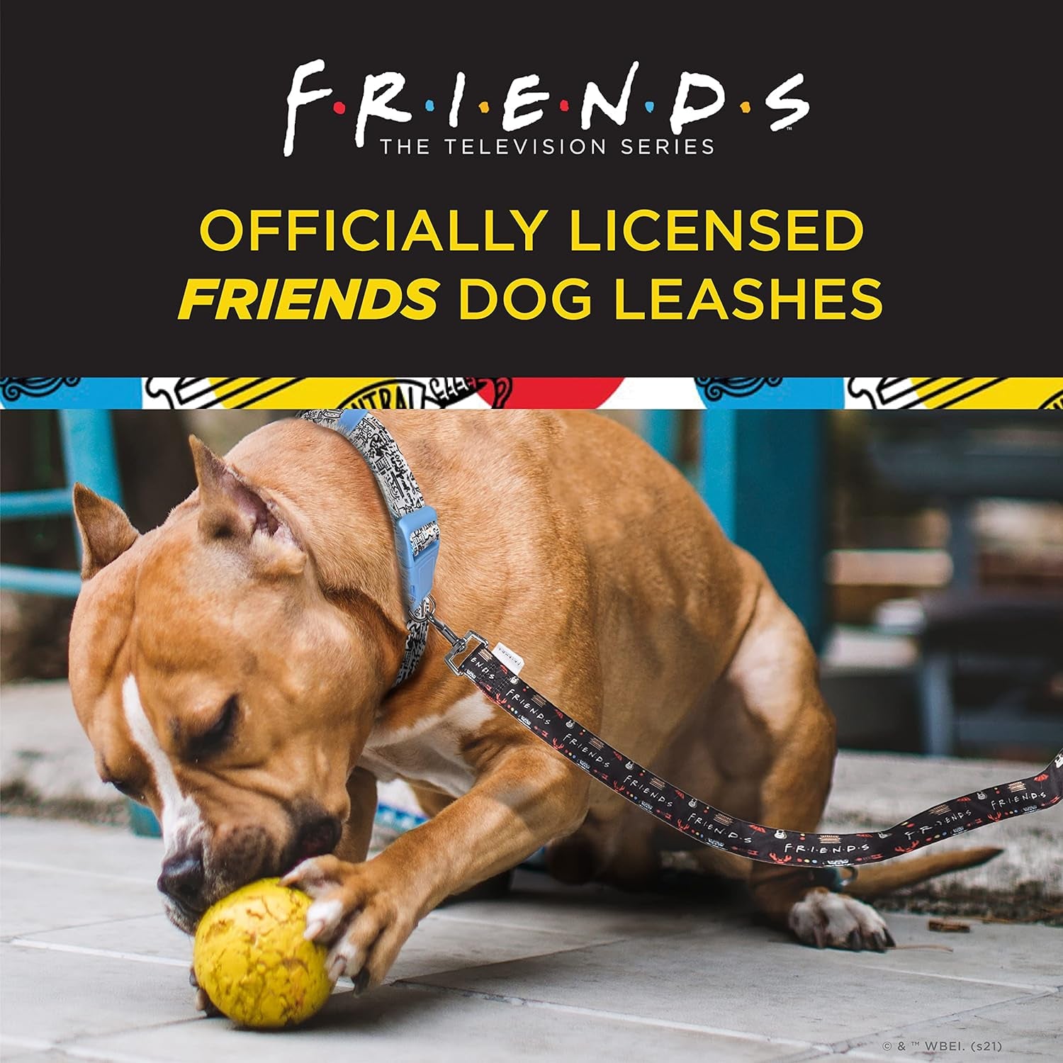 Friends TV Show City Doodle Dog Leash, 4 Ft (48 Inches) | Cute Blue Dog Leash Easily Attaches to Any Collar or Harness